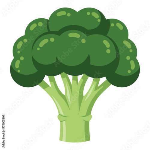 A cartoon illustration of a green broccoli on white background icon