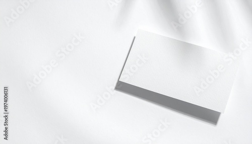 Clean stack of blank white business cards on a pure white surface, enhanced by soft natural leaf shadows, creating a modern and professional backdrop for branding and design mockups