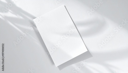 Elegant blank white paper template with organic shadows, perfect for modern brand identity, brochure design, or minimalist event invitations