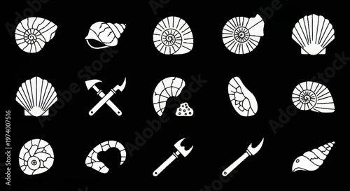 Fossil Shells and Geology Tools.