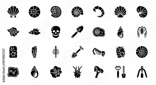 Black silhouettes of seashells and tools.