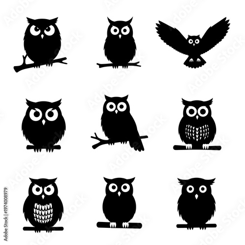 Various owl silhouettes are perched on branches in different poses.