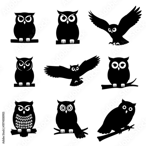 Eight owl silhouettes showcase various poses on branches or in flight