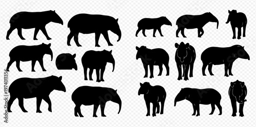 Collection of various tapir silhouettes in different poses and views, representing wildlife and nature.