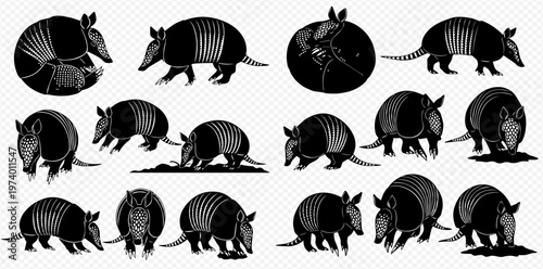 Set of various armadillo illustrations in black and white, depicting different poses and activities of the armored mammal.