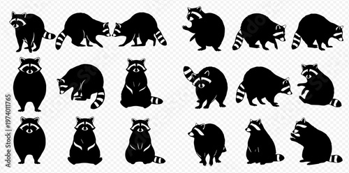 Set of black raccoon silhouettes in various poses, featuring a striped tail and masked face, isolated on a transparent background.