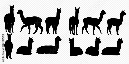 Set of black alpaca silhouettes in various poses, standing and sitting, isolated on a transparent background.