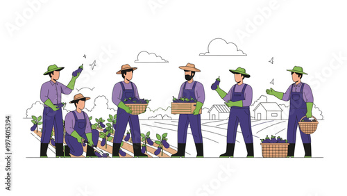 Harvest Harmony: A cooperative group of farmers harvest eggplants in a bountiful field, embodying the spirit of community and the fruits of labor.