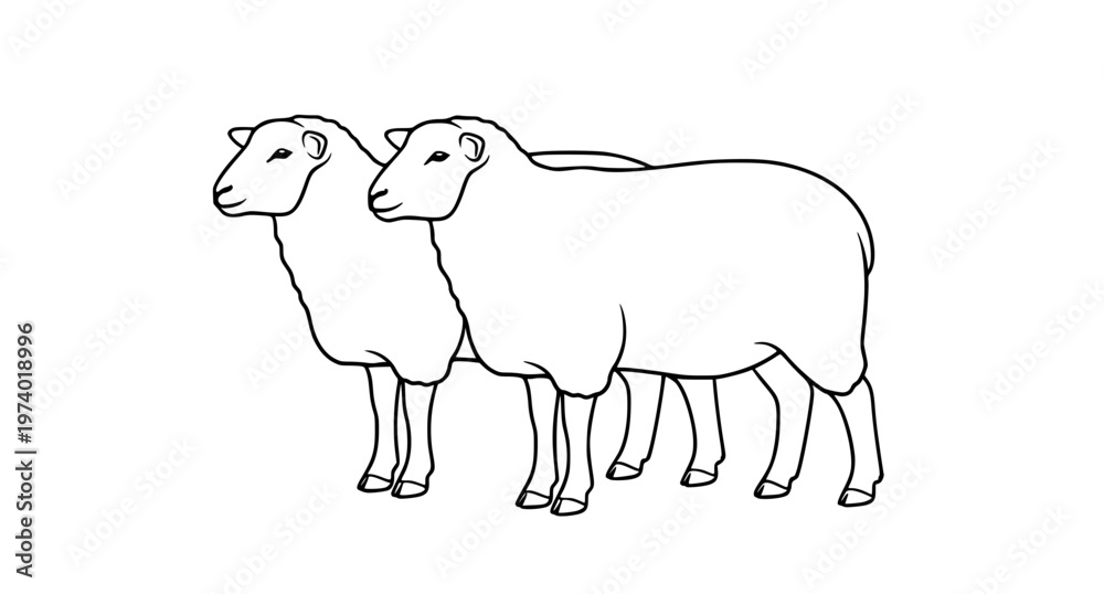 Obraz premium Two Sheep Silhouette Vector Illustration