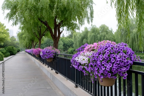 Park pathway with hanging petunia flower baskets