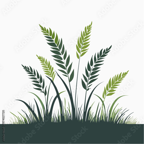 Illustration of a field of green grass with tall stalks and leaves against a white background