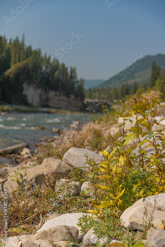 Scenic summer landscape of Elbow Falls in Kananaskis Country, Alberta, Canada. Beautiful waterfall cascading over rocky cliffs into the Elbow River with evergreen pine forest and blue sky Canada