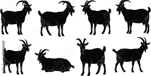 Collection of black goat silhouettes featuring various poses including standing and sitting positions isolated on white background for farm animal livestock and agricultural design.