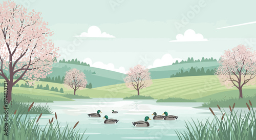 Serene landscape with ducks swimming in a lake surrounded by blooming trees and rolling hills on a sunny day with fluffy clouds
