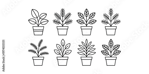 Collection of eight black line potted plants with varied leaf shapes and pine branches houseplant green