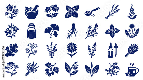Collection of hand-drawn herbal remedies and medicinal plants in a simple linocut style for natural wellness and alternative medicine concepts