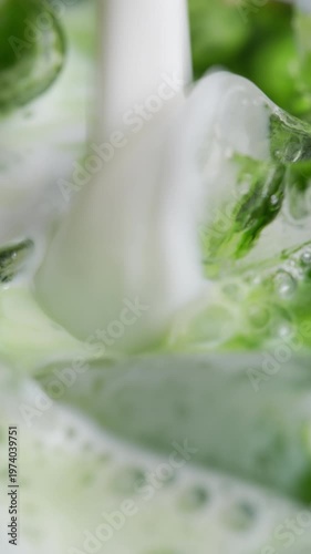 4K Vertical video Abstract green tea or matcha liquid mixing with milk creating smooth swirling patterns Organic fluid texture with vibrant green tones, ideal for beverage concept background and moder