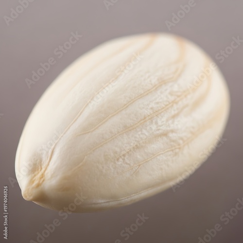 Single shelled almond portrait showcasing natural ridges and pale hue