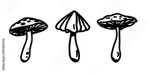 Hand drawn mushroom doodle set Botanical illustration Cute autumn mushroom Healthy eco food Organic vegetarian food For stickers, greeting card, design, print, packaging, decor, kids books