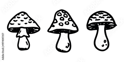 Hand drawn mushroom doodle set Botanical illustration Cute autumn mushroom Healthy eco food Organic vegetarian food For stickers, greeting card, design, print, packaging, decor, kids books