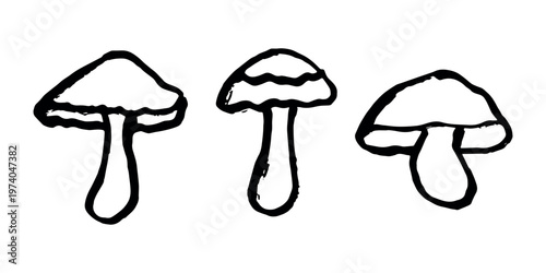 Hand drawn mushroom doodle set Botanical illustration Cute autumn mushroom Healthy eco food Organic vegetarian food For stickers, greeting card, design, print, packaging, decor, kids books