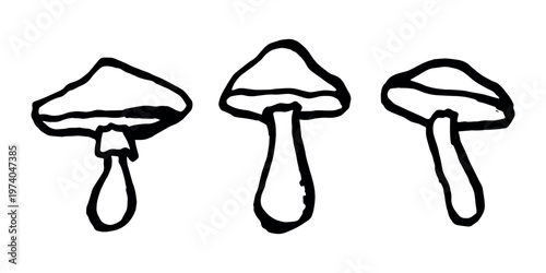 Hand drawn mushroom doodle set Botanical illustration Cute autumn mushroom Healthy eco food Organic vegetarian food For stickers, greeting card, design, print, packaging, decor, kids books