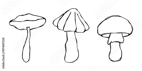 Hand drawn mushroom doodle set Botanical illustration Cute autumn mushroom Healthy eco food Organic vegetarian food For stickers, greeting card, design, print, packaging, decor, kids books