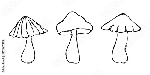 Hand drawn mushroom doodle set Botanical illustration Cute autumn mushroom Healthy eco food Organic vegetarian food For stickers, greeting card, design, print, packaging, decor, kids books