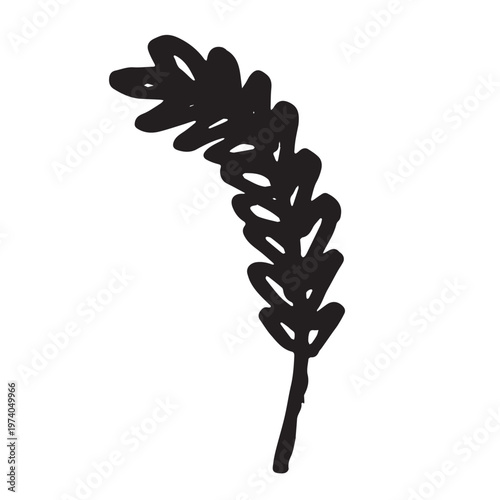 Fotografie Hand drawn cereal wheat oat rye barley rice ears spikelet clipart Organic wheat