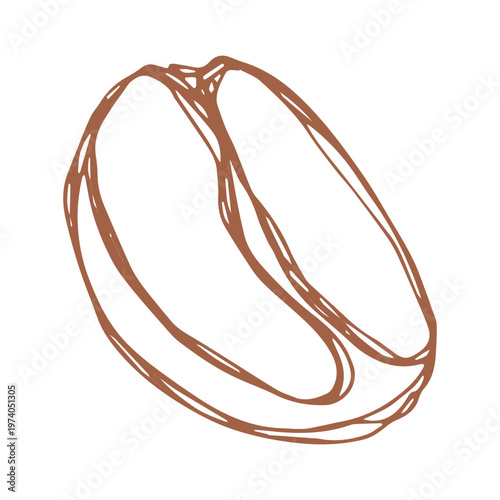 Hand drawn fresh roasted coffee bean Arabica robusta seed doodle Single element for print, web, design, decor