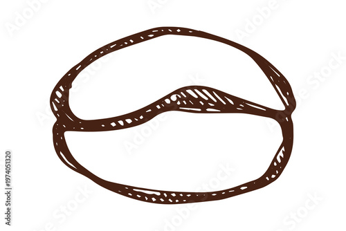 Hand drawn fresh roasted coffee bean Arabica robusta seed doodle Single element for print, web, design, decor