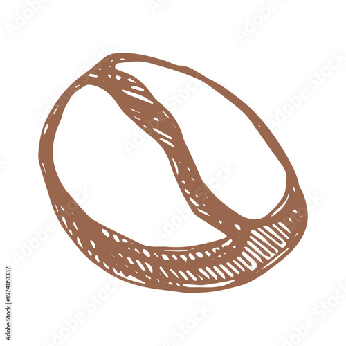 Hand drawn fresh roasted coffee bean Arabica robusta seed doodle Single element for print, web, design, decor