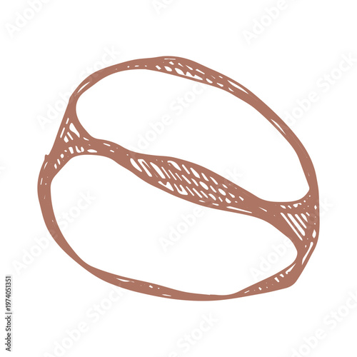 Hand drawn fresh roasted coffee bean Arabica robusta seed doodle Single element for print, web, design, decor