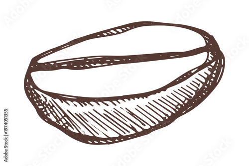 Hand drawn fresh roasted coffee bean Arabica robusta seed doodle Single element for print, web, design, decor