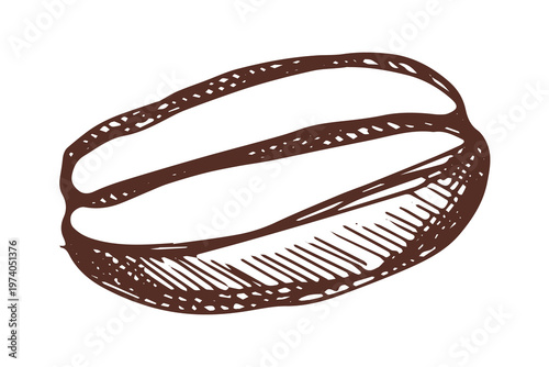 Hand drawn fresh roasted coffee bean Arabica robusta seed doodle Single element for print, web, design, decor