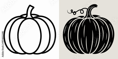 Two black and white pumpkin with different patterns and stems minimalist