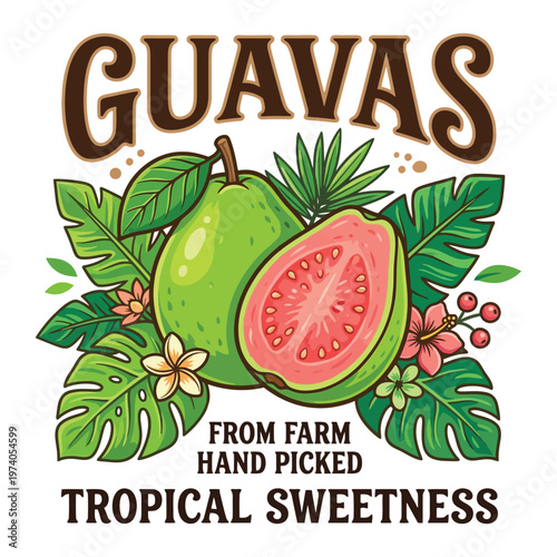 Guava Tropical Fruit Illustration with Flowers and Leaves Vintage Farm Fresh Design