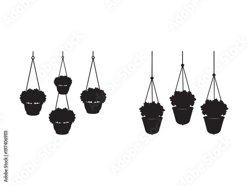 Hanging plants in pots with strings on white background for decoration and interior design  plants in hanging baskets for garden and home decor