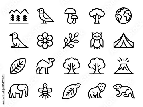 Vectors of nature elements including animals trees plants and camping gear