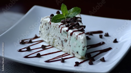 Delicious dessert slice with mint topping and chocolate drizzle on a white plate