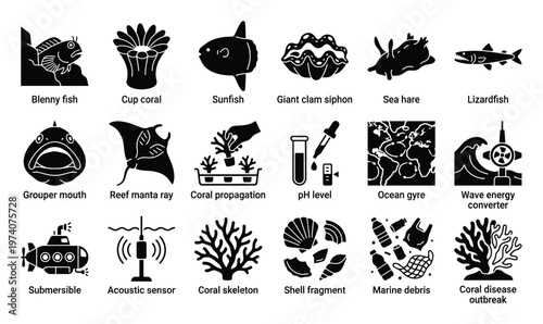 Collection of oceanography and marine biology glyph icons showcasing diverse aquatic life, scientific instruments, and environmental issues, useful for educational content, infographics,