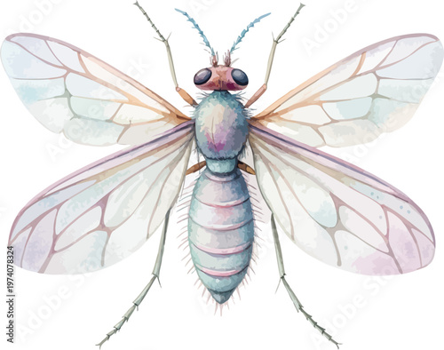 Watercolor Tiny Gnat Clipart, Flying Insect Illustration, Isolated on White