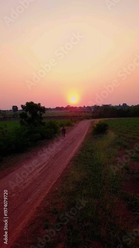 Walking a Pomeranian Dog in Warm Evening Sunlight