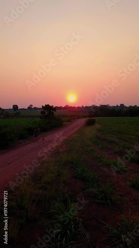 Walking a Pomeranian Dog in Warm Evening Sunlight