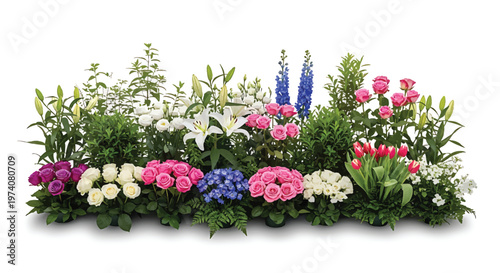 Colorful Flowers Arrangement on White Background