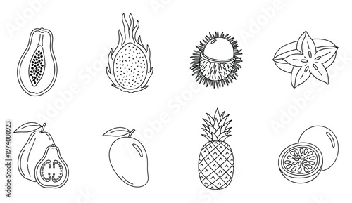 Tropical exotic fruits outline collection featuring papaya, dragon fruit, star fruit, mango, and pineapple, perfect for healthy eating guides, recipe books, and educational graphic