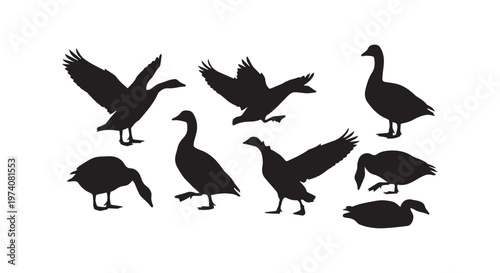 Black silhouettes of flying bats set against a stark white background with dynamic wing shapes