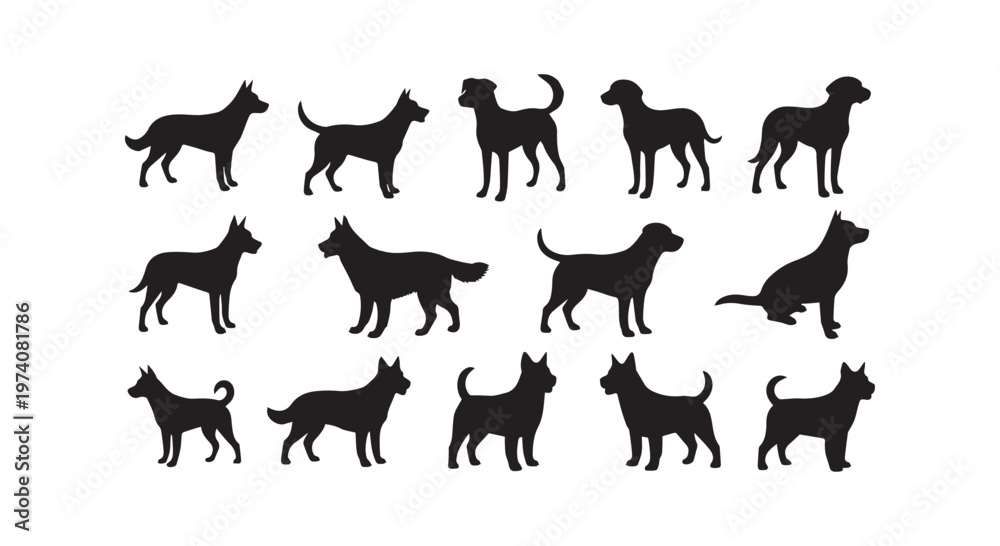 Fototapeta premium A detailed illustration of various horse breeds showcasing diversity in coat patterns and body shapes