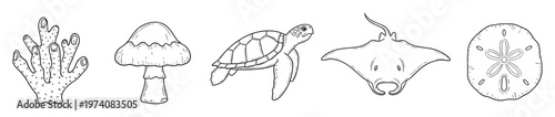 Outline sketch collection of marine and forest elements featuring coral, mushroom, sea turtle, manta ray, and sand dollar, ideal for educational materials or naturethemed graphic projects.