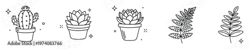 Minimalist outline potted cactus and succulent plant drawings with green fern and leafy elements ideal for nature themed graphic projects and modern home decor concepts
